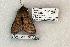  ( - 1054-300703-AZ)  @13 [ ] Copyright (2008) Unspecified Research Collection of Robert J. Borth