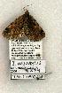  ( - 1058-110602-OK)  @13 [ ] Copyright (2008) Unspecified Research Collection of Robert J. Borth