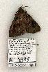  ( - 1065-080802-KY)  @13 [ ] Copyright (2008) Unspecified Research Collection of Robert J. Borth
