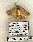  ( - 1079-310706-WI)  @12 [ ] Copyright (2008) Unspecified Research Collection of Robert J. Borth