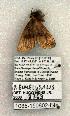  ( - 1085-150802-IN)  @13 [ ] Copyright (2008) Unspecified Research Collection of Robert J. Borth