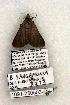  ( - 1091-250503-OK)  @12 [ ] Copyright (2008) Unspecified Research Collection of Robert J. Borth