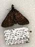  ( - 1097-200603-AZ)  @12 [ ] Copyright (2008) Unspecified Research Collection of Robert J. Borth