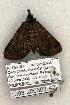  ( - 1098-200603-AZ)  @12 [ ] Copyright (2008) Unspecified Research Collection of Robert J. Borth