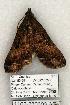  ( - 1102-230603-AZ)  @13 [ ] Copyright (2008) Unspecified Research Collection of Robert J. Borth