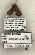  ( - 1104-160504-TX)  @12 [ ] Copyright (2008) Unspecified Research Collection of Robert J. Borth
