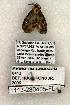  ( - 1113-280405-FL)  @13 [ ] Copyright (2008) Unspecified Research Collection of Robert J. Borth