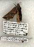  ( - 1112-050602-OK)  @12 [ ] Copyright (2008) Unspecified Research Collection of Robert J. Borth