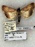  ( - 1149-300692-IA)  @13 [ ] Copyright (2008) Unspecified Research Collection of Robert J. Borth