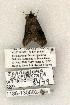  ( - 1186-130802-IN)  @12 [ ] Copyright (2008) Unspecified Research Collection of Robert J. Borth