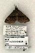  ( - 1187-130802-IN)  @13 [ ] Copyright (2008) Unspecified Research Collection of Robert J. Borth
