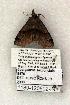 ( - 1189-120802-IN)  @12 [ ] Copyright (2008) Unspecified Research Collection of Robert J. Borth