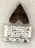  ( - 1190-110802-IN)  @12 [ ] Copyright (2008) Unspecified Research Collection of Robert J. Borth