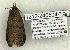 ( - 1212-240504-TX)  @13 [ ] Copyright (2008) Unspecified Research Collection of Robert J. Borth