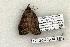  ( - 1213-240504-TX)  @13 [ ] Copyright (2008) Unspecified Research Collection of Robert J. Borth