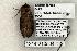  ( - 1214-210504-TX)  @13 [ ] Copyright (2008) Unspecified Research Collection of Robert J. Borth