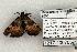  ( - 1217-200703-NM)  @12 [ ] Copyright (2008) Unspecified Research Collection of Robert J. Borth