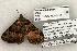  ( - 1219-260703-AZ)  @13 [ ] Copyright (2008) Unspecified Research Collection of Robert J. Borth