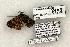  ( - 1220-270503-TX)  @13 [ ] Copyright (2008) Unspecified Research Collection of Robert J. Borth