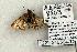  ( - 1222-240504-TX)  @12 [ ] Copyright (2008) Unspecified Research Collection of Robert J. Borth