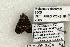  ( - 1223-050604-TX)  @13 [ ] Copyright (2008) Unspecified Research Collection of Robert J. Borth