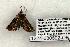  ( - 1224-080602-OK)  @12 [ ] Copyright (2008) Unspecified Research Collection of Robert J. Borth