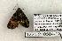  ( - 1225-210504-TX)  @12 [ ] Copyright (2008) Unspecified Research Collection of Robert J. Borth