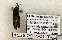  ( - 1226-200504-TX)  @12 [ ] Copyright (2008) Unspecified Research Collection of Robert J. Borth