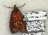  ( - 1243-080504-TX)  @13 [ ] Copyright (2008) Unspecified Research Collection of Robert J. Borth