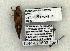  ( - 1244-020603-TX)  @12 [ ] Copyright (2008) Unspecified Research Collection of Robert J. Borth