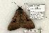  ( - 1258-100504-TX)  @14 [ ] Copyright (2008) Unspecified Research Collection of Robert J. Borth