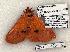  ( - 1259-140505-FL)  @12 [ ] Copyright (2008) Unspecified Research Collection of Robert J. Borth