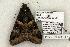  ( - 1265-070603-TX)  @13 [ ] Copyright (2008) Unspecified Research Collection of Robert J. Borth