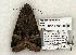  ( - 1266-240504-TX)  @12 [ ] Copyright (2008) Unspecified Research Collection of Robert J. Borth