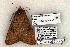  ( - 1269-090603-TX)  @14 [ ] Copyright (2008) Unspecified Research Collection of Robert J. Borth
