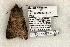 ( - 1270-090603-TX)  @14 [ ] Copyright (2008) Unspecified Research Collection of Robert J. Borth