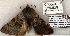  ( - 1271-080603-TX)  @13 [ ] Copyright (2008) Unspecified Research Collection of Robert J. Borth