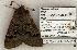  ( - 1272-190703-MN)  @13 [ ] Copyright (2008) Unspecified Research Collection of Robert J. Borth