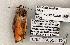  ( - 1292-260503-TX)  @12 [ ] Copyright (2008) Unspecified Research Collection of Robert J. Borth