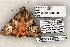  ( - 1293-260503-TX)  @13 [ ] Copyright (2008) Unspecified Research Collection of Robert J. Borth