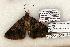  ( - 1300-100603-TX)  @13 [ ] Copyright (2008) Unspecified Research Collection of Robert J. Borth