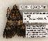 ( - 1301-100603-TX)  @12 [ ] Copyright (2008) Unspecified Research Collection of Robert J. Borth