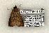  ( - 1210-310503-TX)  @14 [ ] Copyright (2008) Unspecified Research Collection of Robert J. Borth