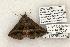  ( - 1314-030805-AZ)  @13 [ ] Copyright (2008) Unspecified Research Collection of Robert J. Borth