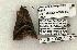  ( - 1316-100603-TX)  @13 [ ] Copyright (2008) Unspecified Research Collection of Robert J. Borth