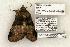  ( - 1322-040603-TX)  @13 [ ] Copyright (2008) Unspecified Research Collection of Robert J. Borth