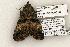  ( - 1323-230504-TX)  @12 [ ] Copyright (2008) Unspecified Research Collection of Robert J. Borth