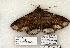  ( - 1345-120504-TX)  @14 [ ] Copyright (2008) Unspecified Research Collection of Robert J. Borth