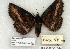  ( - 1351-090794-WI)  @13 [ ] Copyright (2008) Unspecified Research Collection of Robert J. Borth