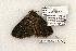  ( - 1352-100603-TX)  @13 [ ] Copyright (2008) Unspecified Research Collection of Robert J. Borth